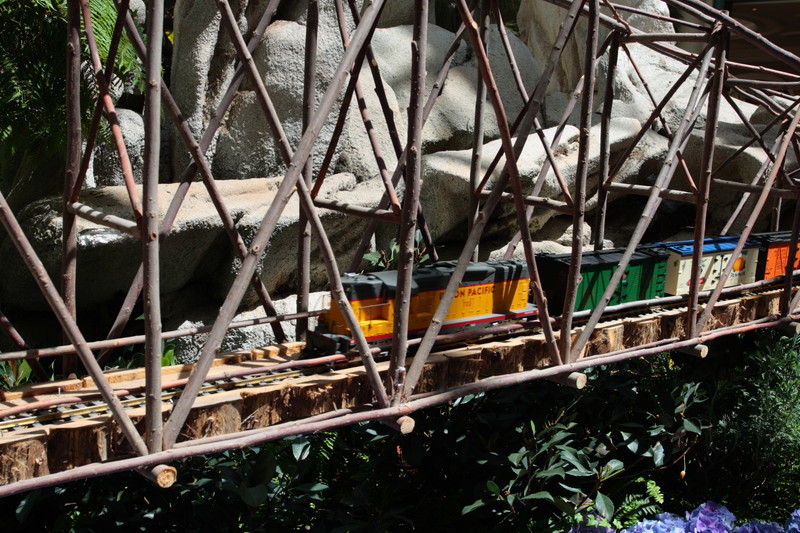 架橋を渡る貨物列車